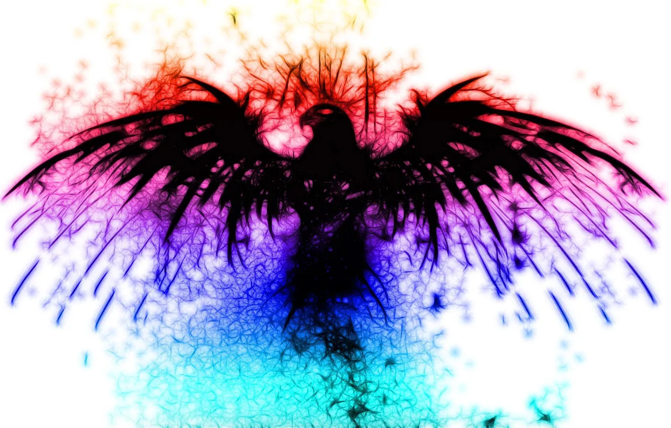 Photo wallpaper eagle, rainbow, unusual