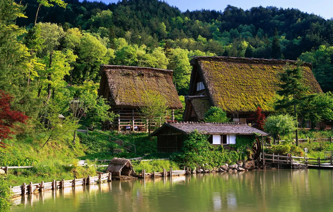 Photo wallpaper forest, house, Japan, Japan, gazebo, houses, water., cites