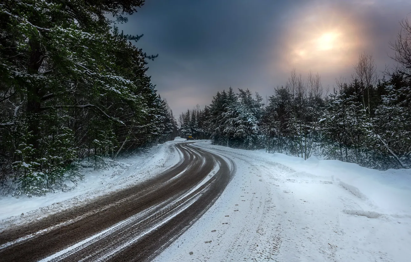Photo wallpaper winter, road, forest