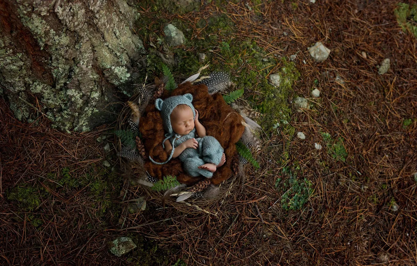 Photo wallpaper sleep, feathers, socket, sleeping, needles, baby, child, baby