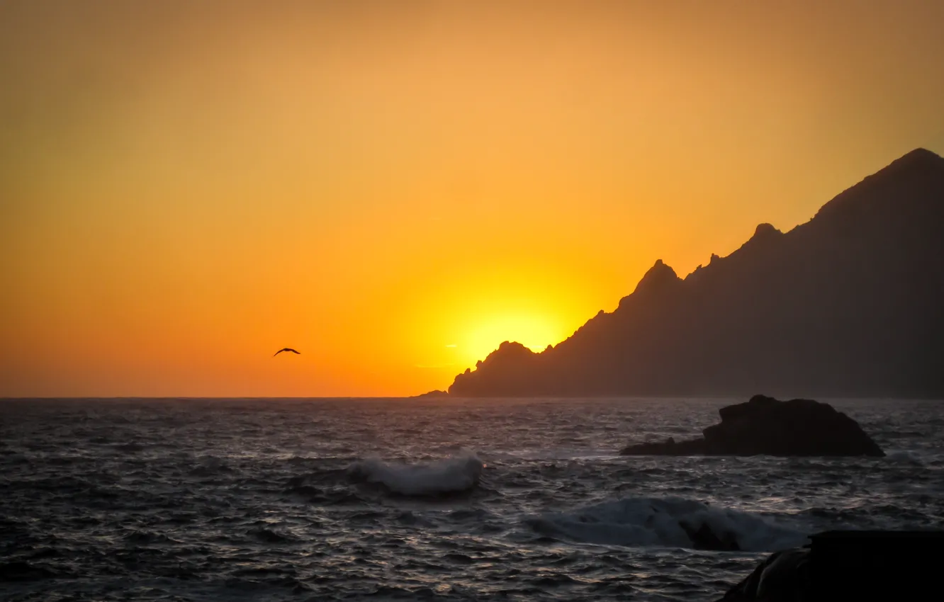 Photo wallpaper sea, wave, sunset, mountains, stones, Seagull, solar