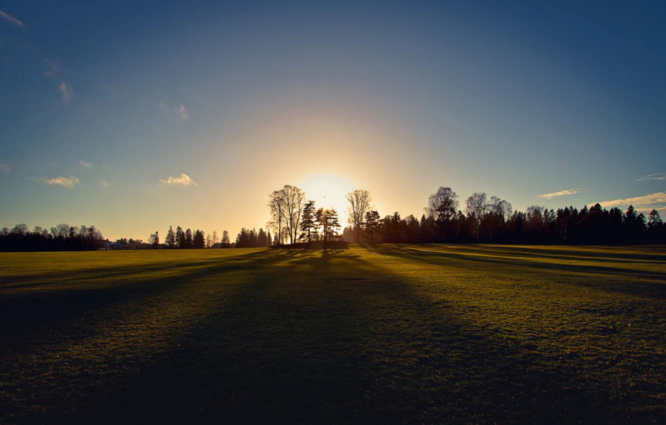 Photo wallpaper field, trees, morning, trees, field, morning, Oslo, Oslo