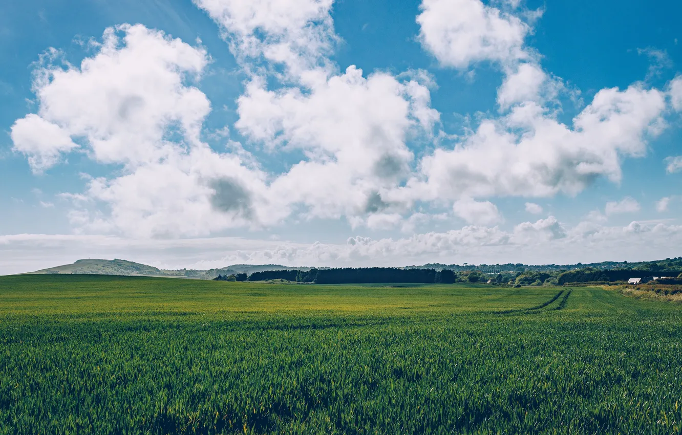 Photo wallpaper field, the sky, grass, clouds, landscape, nature, horizon, grass