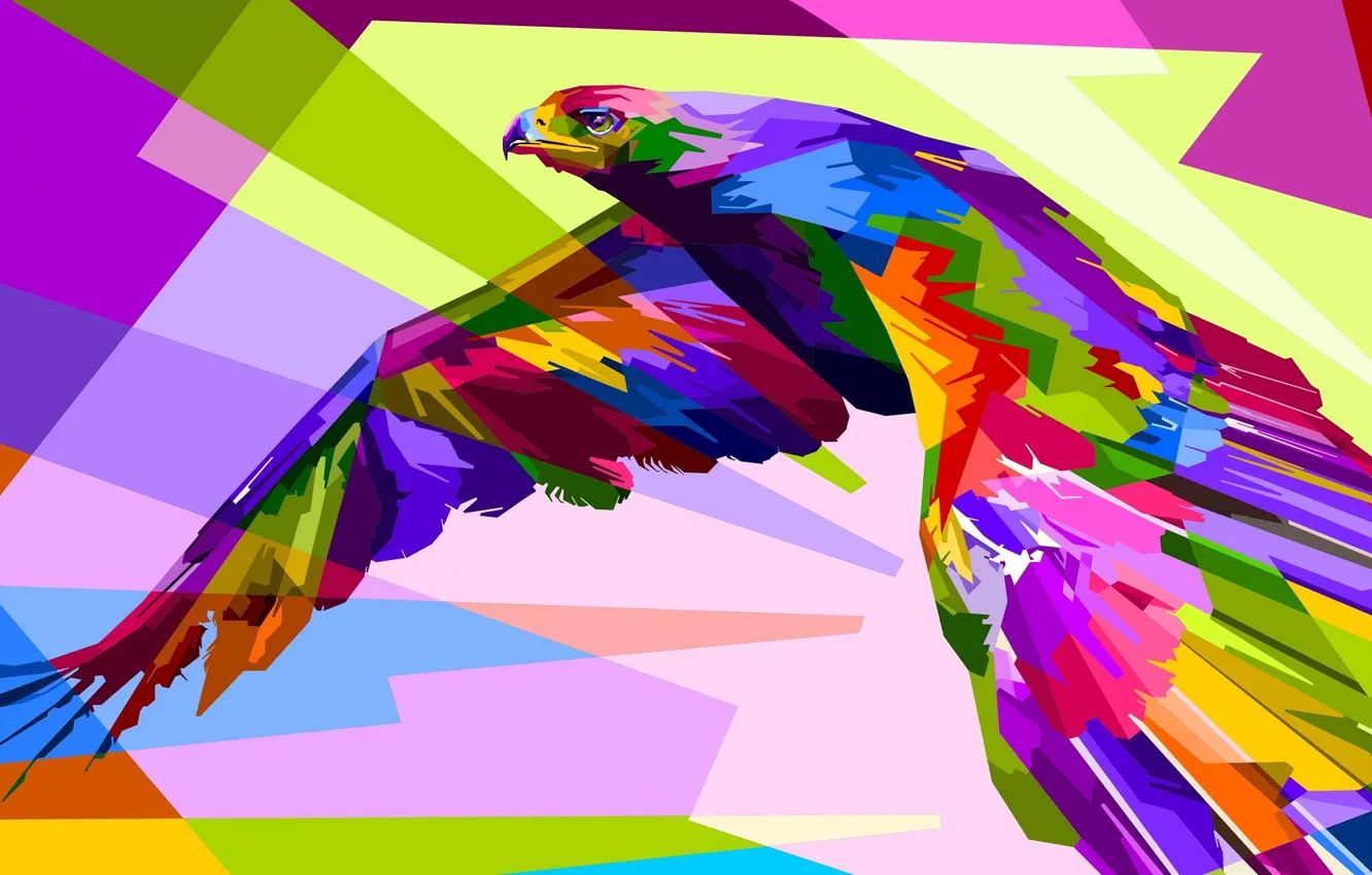 Photo wallpaper bird, bright, bird of prey