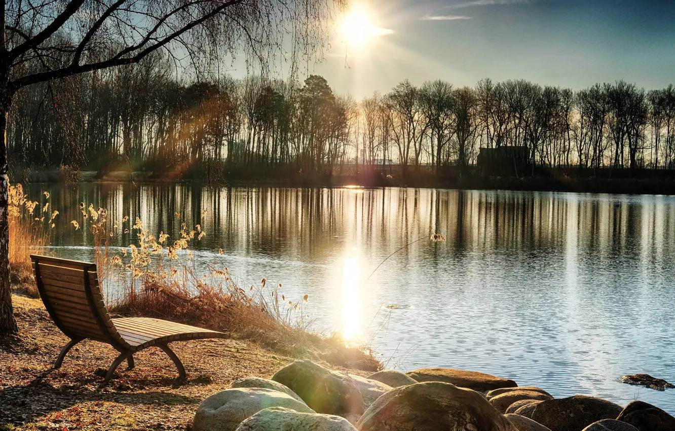 Photo wallpaper the sun, trees, bench, river, spring