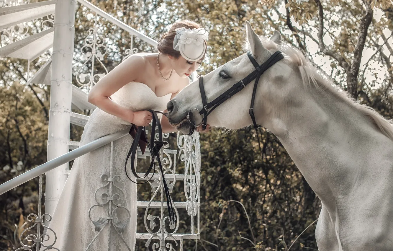 Photo wallpaper white, horse, horse, Asian, the bride
