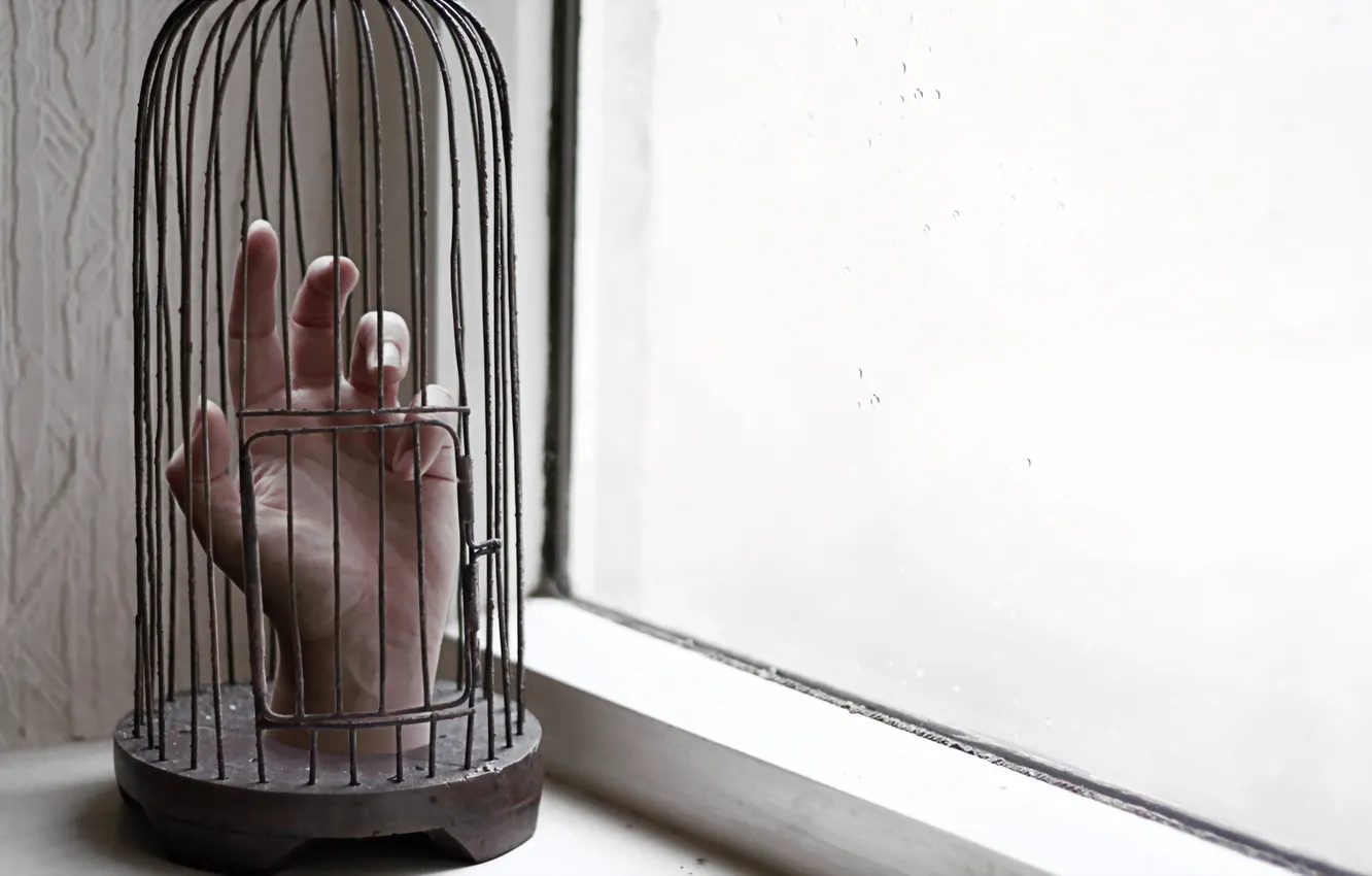 Photo wallpaper cell, hands, window