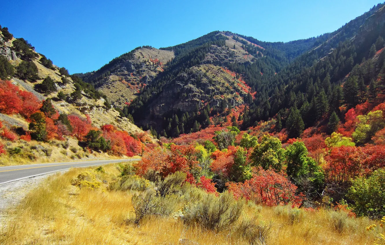 Photo wallpaper road, autumn, Utah, USA, USA, road, autumn, Utah
