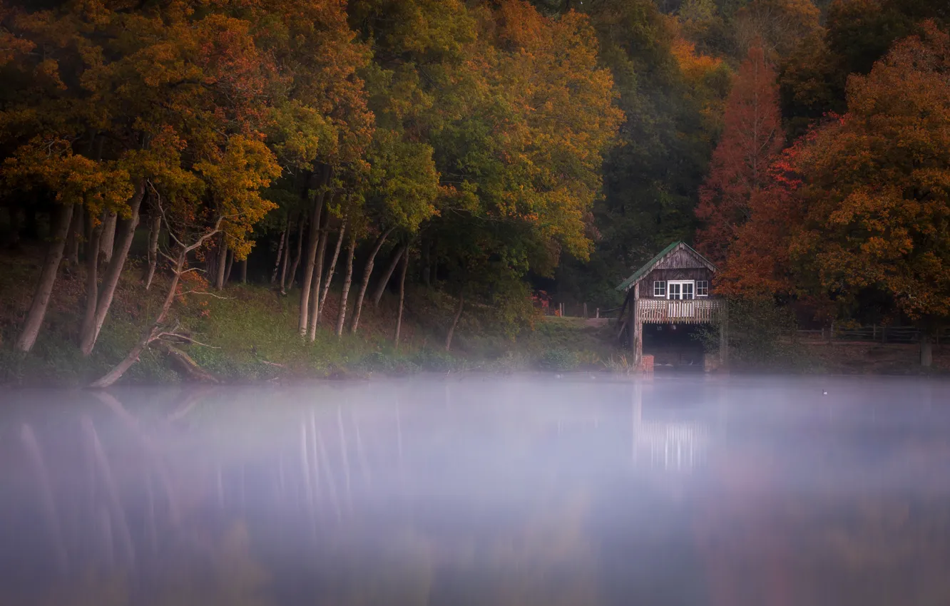 Photo wallpaper autumn, forest, trees, fog, lake, house, pond, reflection