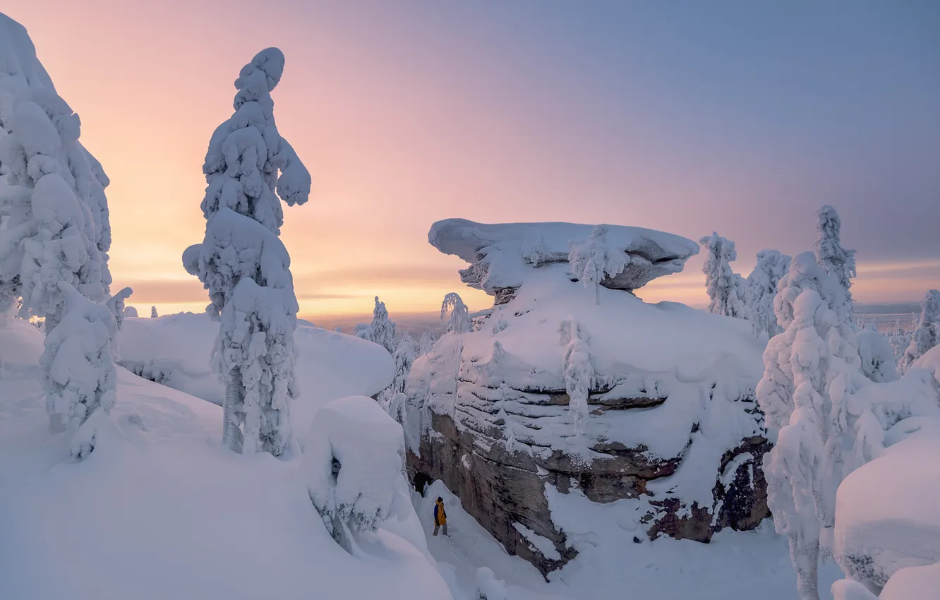 Photo wallpaper winter, the sky, trees, nature, Gordeev Edward