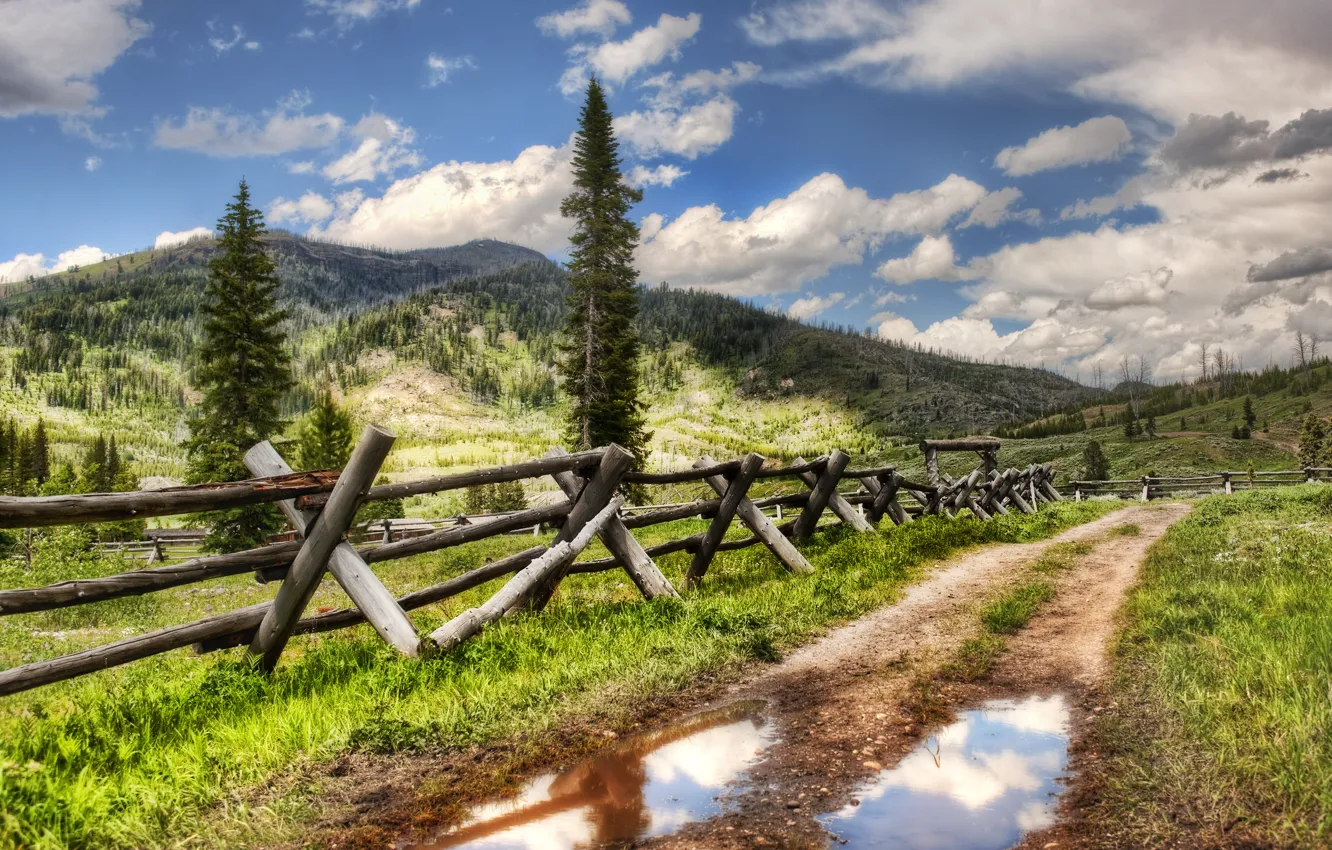 Photo wallpaper forest, mountains, forest, mountains, highlands, farm, highlands, farm