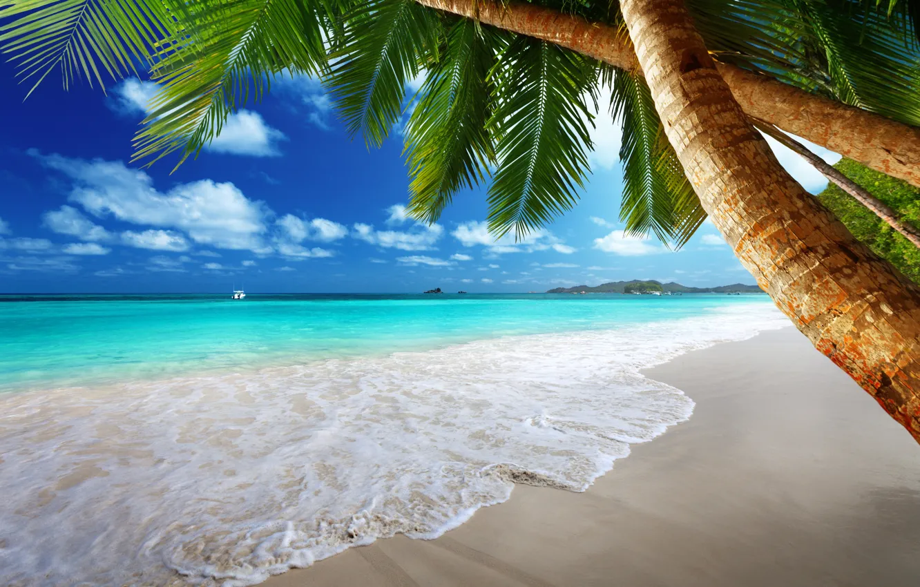 Photo wallpaper sand, sea, beach, the sun, tropics, palm trees, the ocean, shore