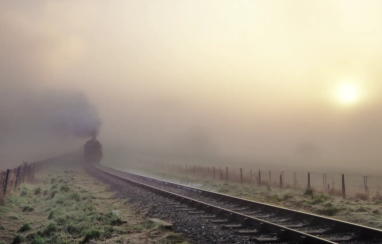 Photo wallpaper fog, train, railroad