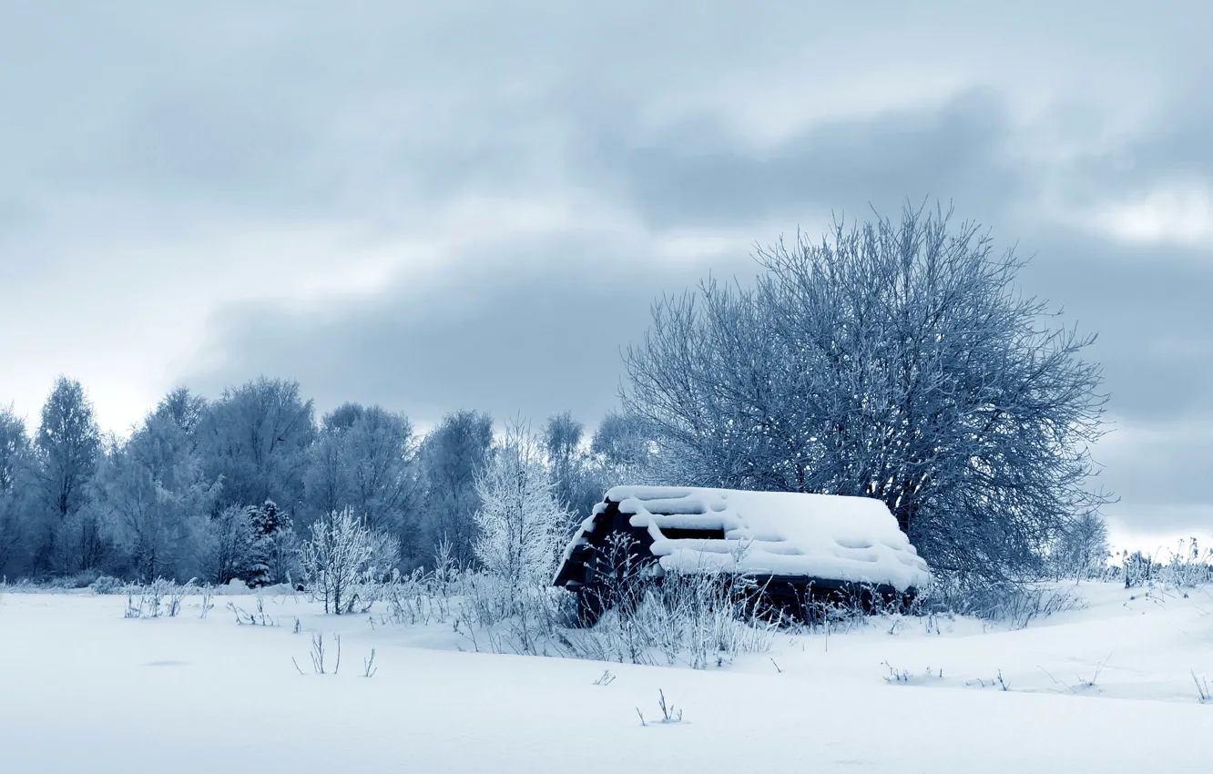 Photo wallpaper winter, snow, trees, nature, photo, the barn
