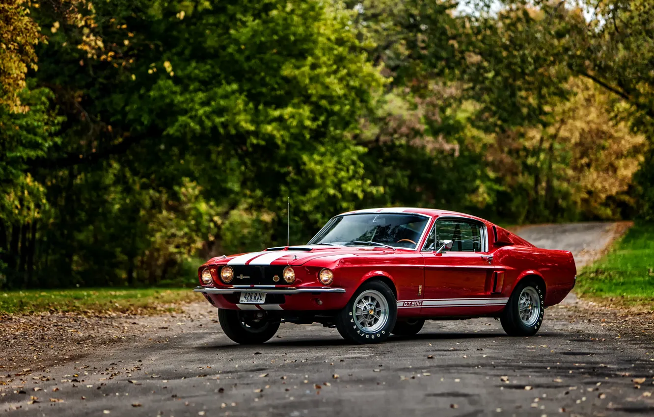 Photo wallpaper Ford, Shelby, GT500, Ford, Shelby, 1967, with LeMans stripes option