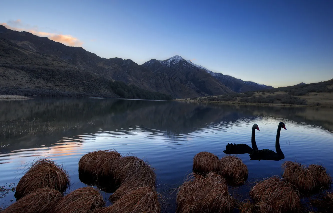 Photo wallpaper landscape, mountains, lake, swans