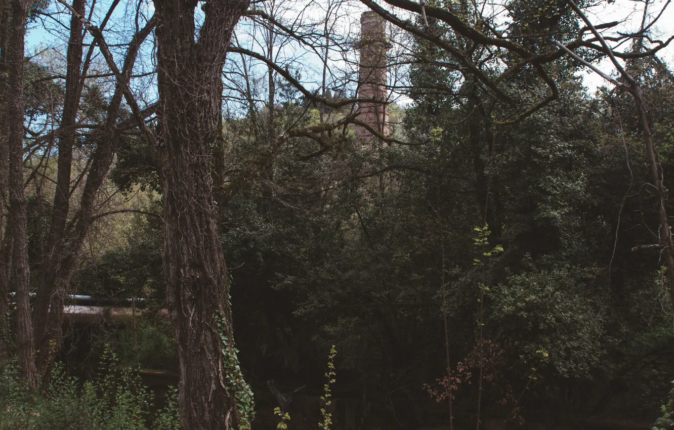 Photo wallpaper the sky, trees, nature, spring, pipe, April, Russia, Stan