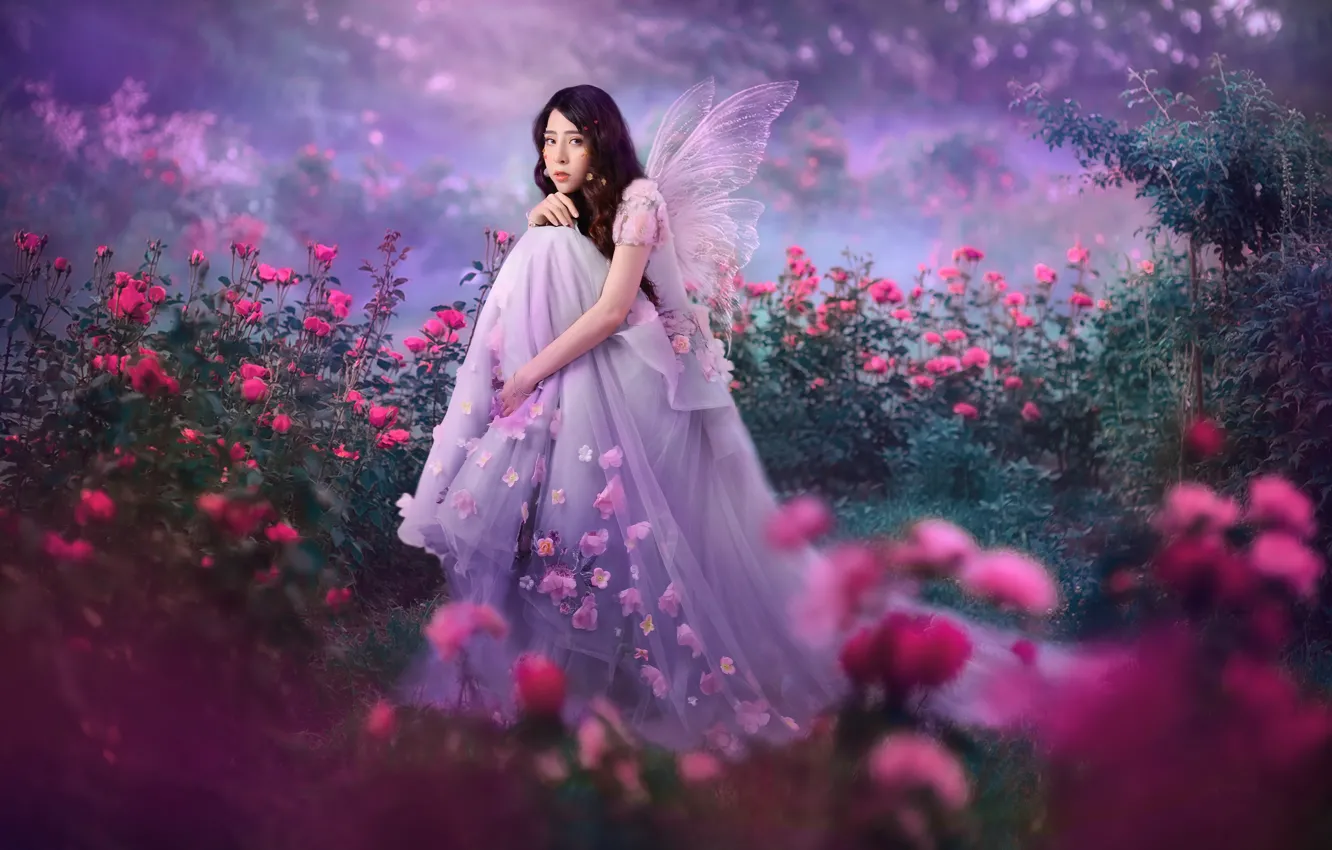 Photo wallpaper girl, nature, butterfly