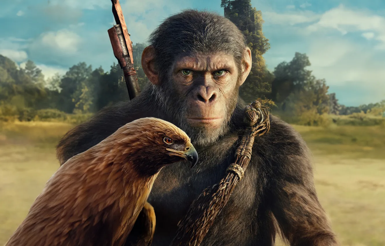 Photo wallpaper fiction, the film, poster, Kingdom of the Planet of the Apes, Planet of the Apes: …