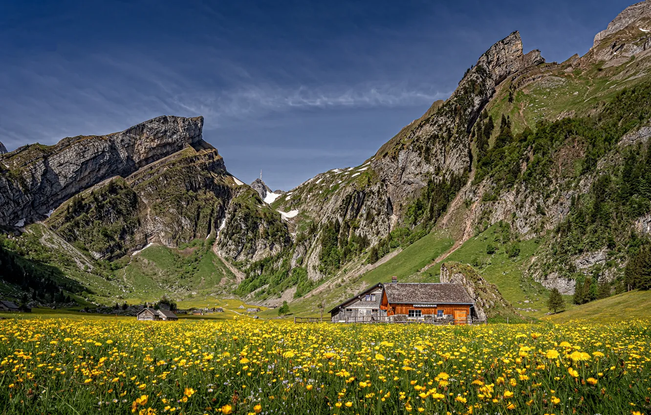 Photo wallpaper the sun, flowers, mountains, rocks, Switzerland, Alps, meadow, houses