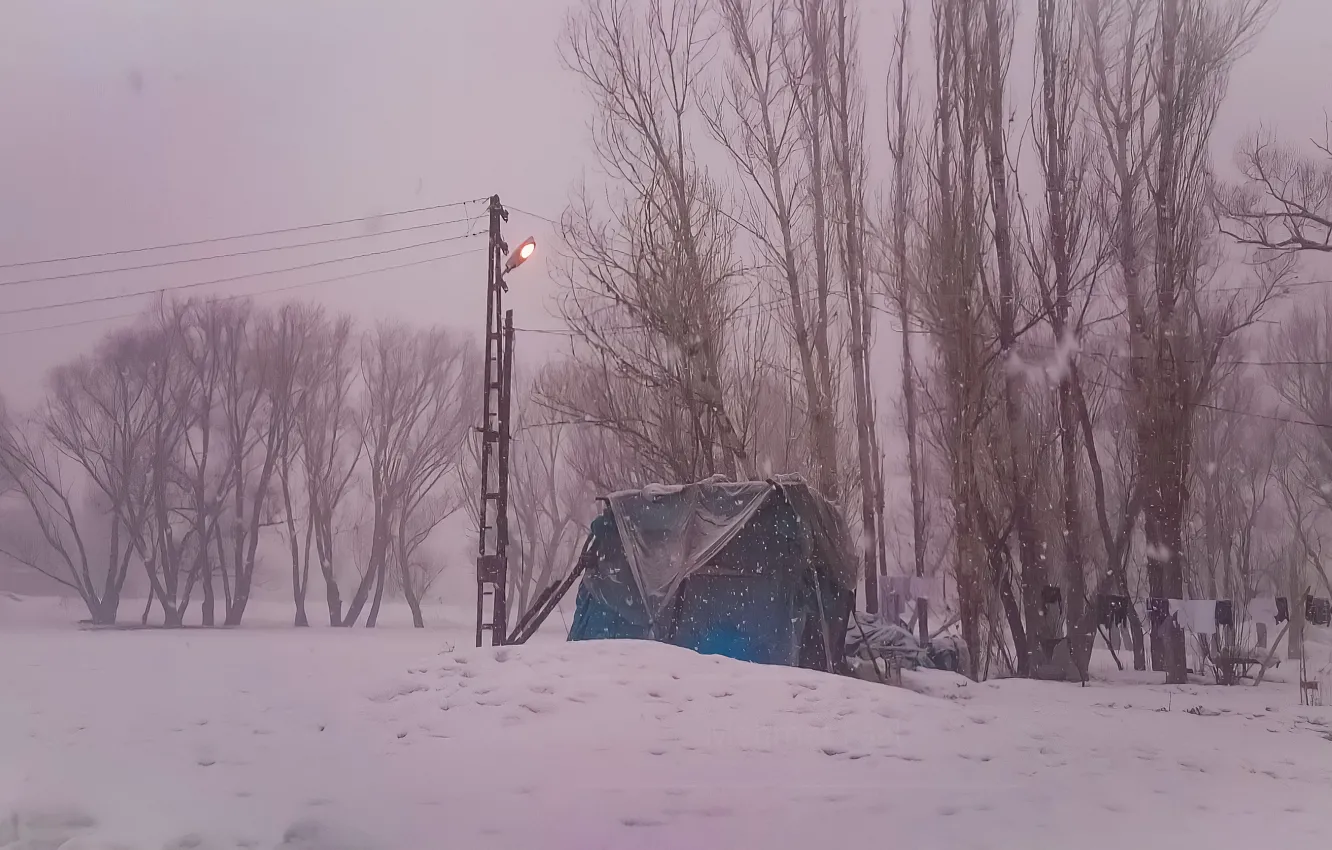 Photo wallpaper night, snow, tree, home, Turkish