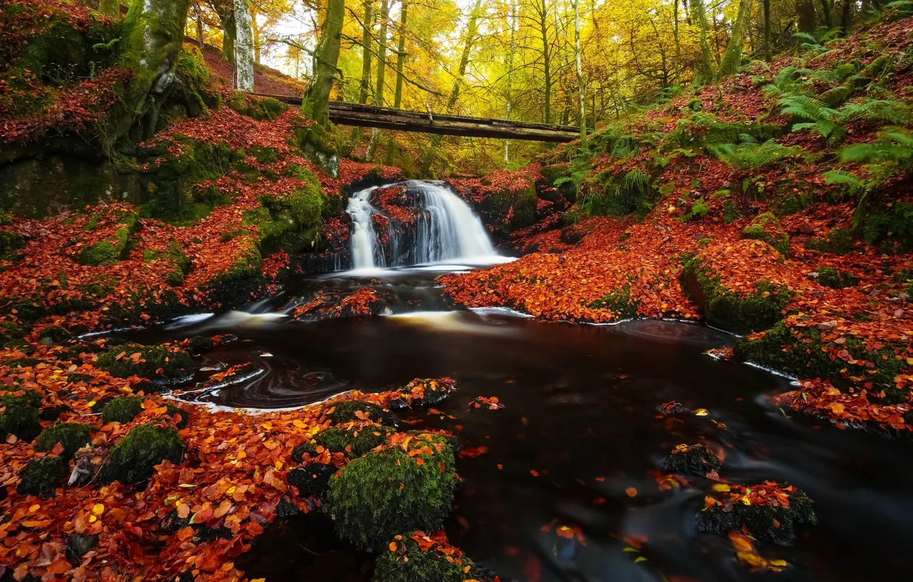 Photo wallpaper autumn, forest, waterfall, log, falling leaves, bright foliage