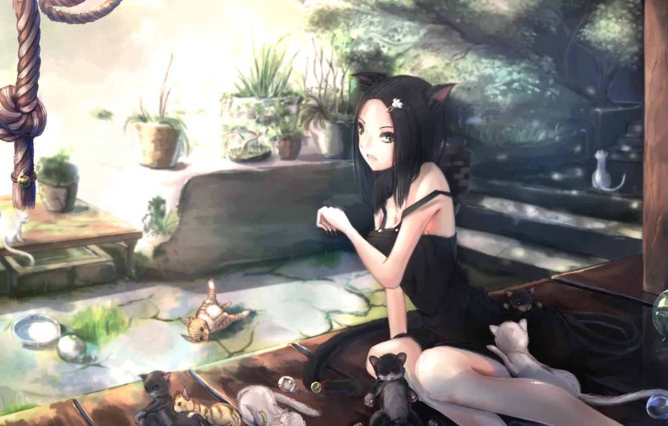 Photo wallpaper cat, look, girl, flowers, aquarium, neko, gesture, ears