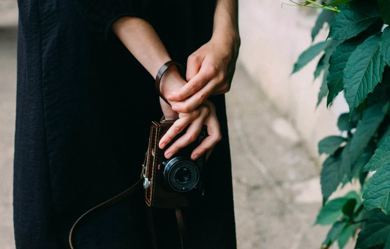 Photo wallpaper greens, girl, style, retro, dress, the camera, in black