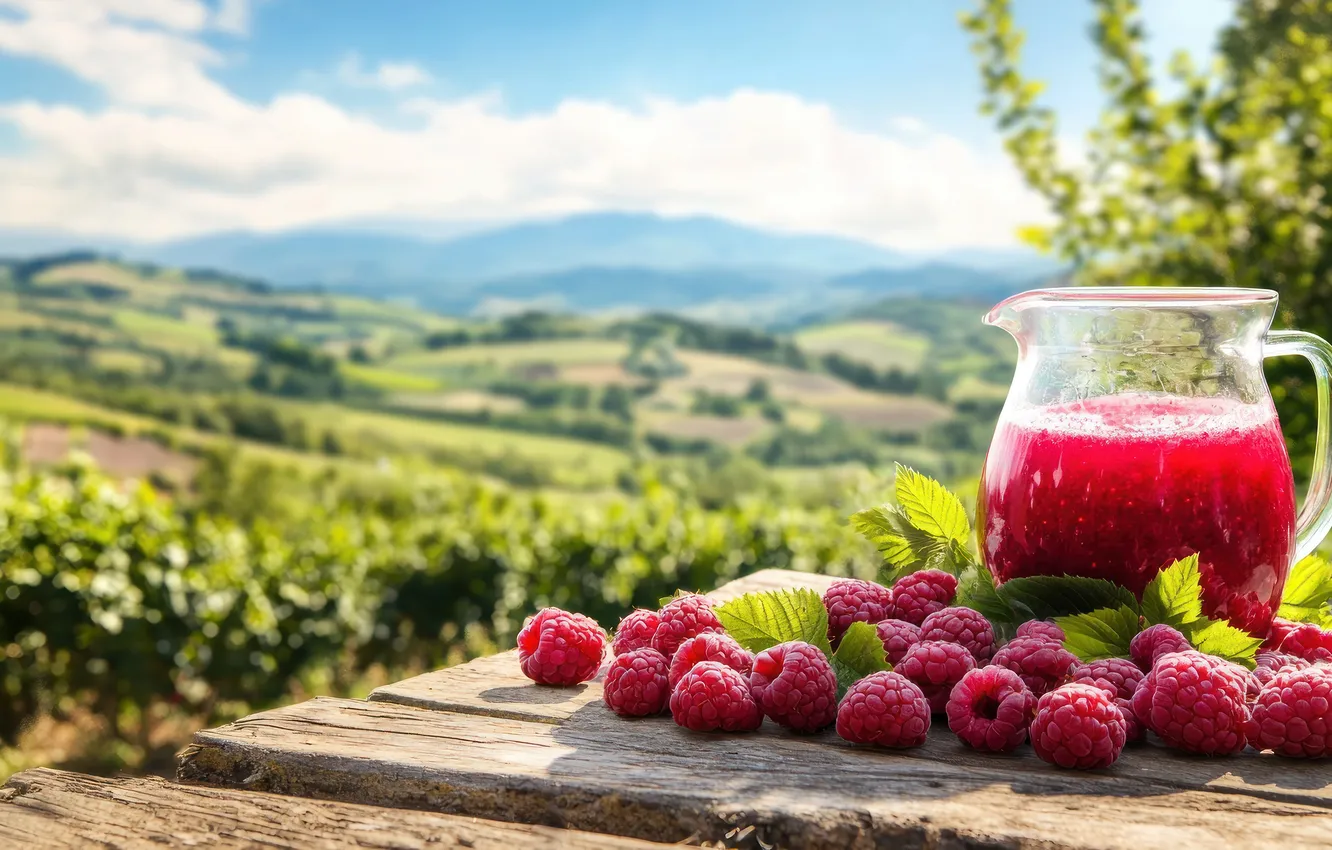 Photo wallpaper greens, field, summer, the sky, clouds, light, mountains, branches