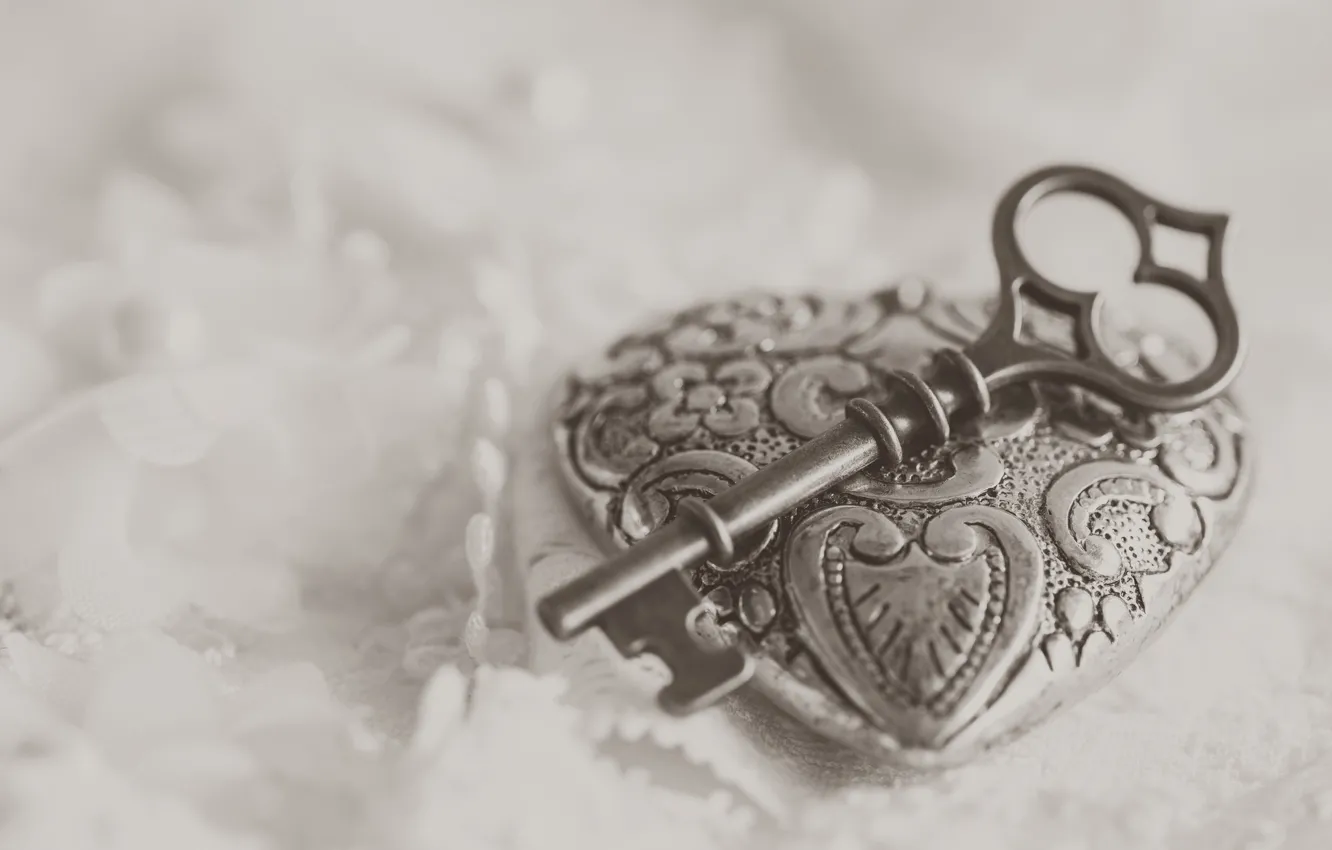 Photo wallpaper key, medallion, lace