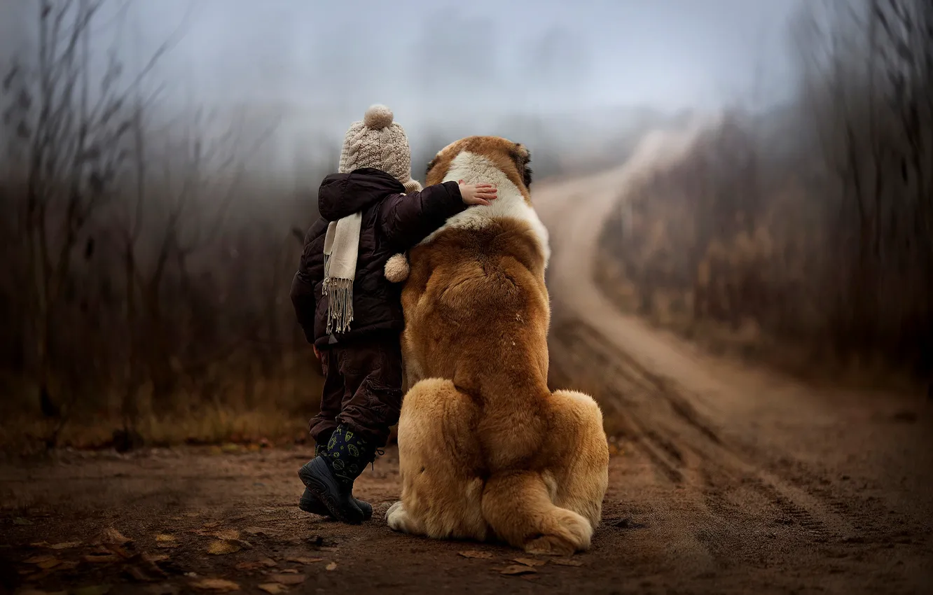 Photo wallpaper road, autumn, forest, nature, children, fog, dog, boy