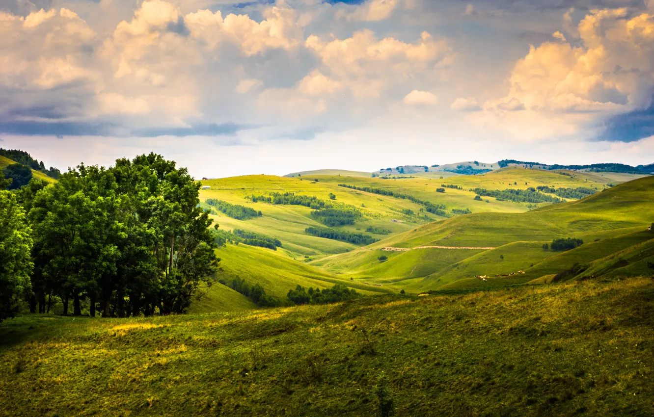 Photo wallpaper field, the sky, clouds, hills, meadow, Romania