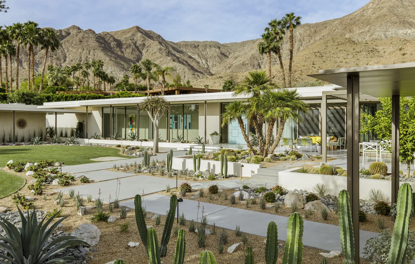 Photo wallpaper mountains, palm trees, home, cactus, AZ, by Stuart Silk, green zone, Thunderbird Heights Residence