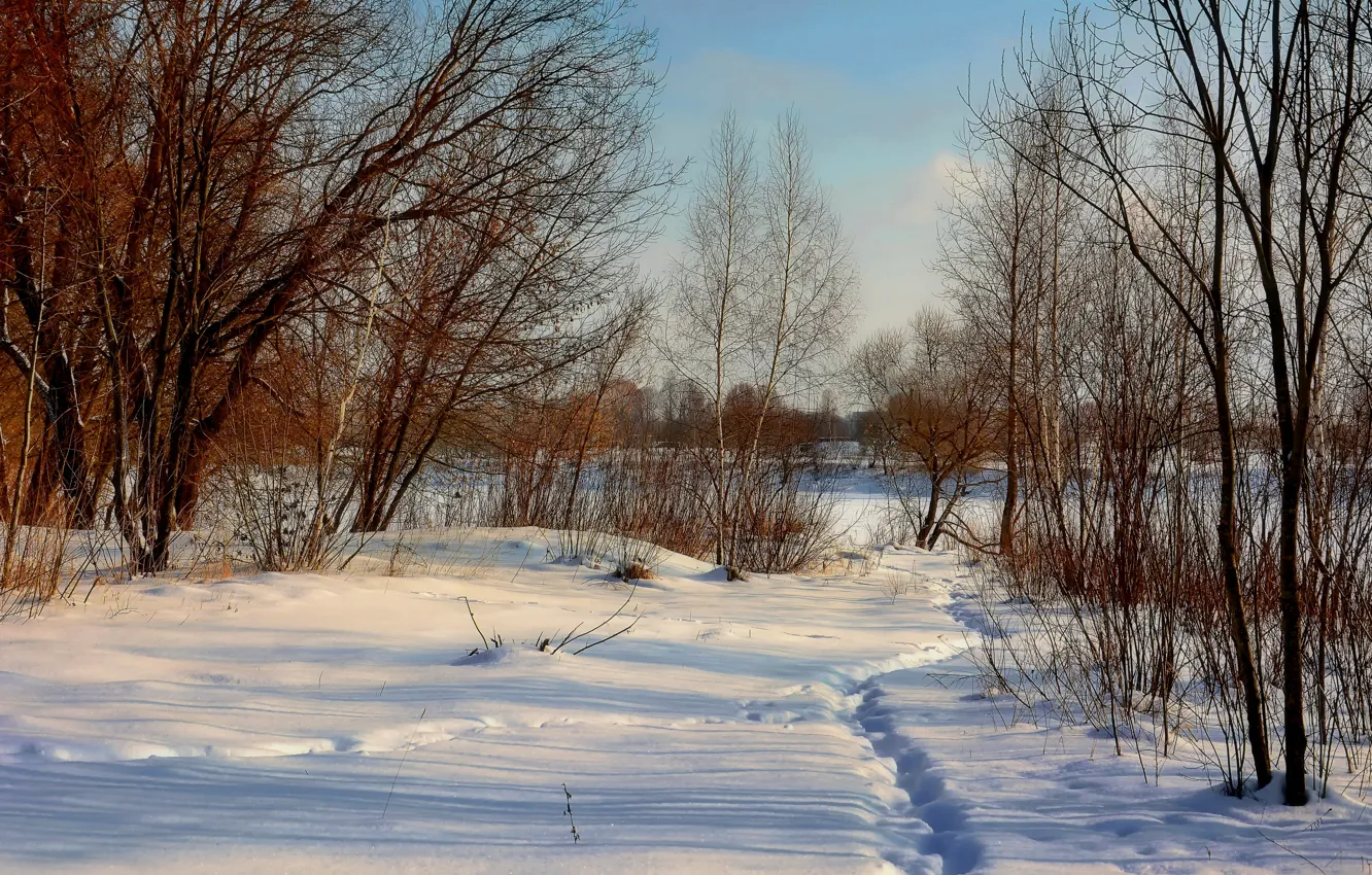 Photo wallpaper winter, the sun, frost, path