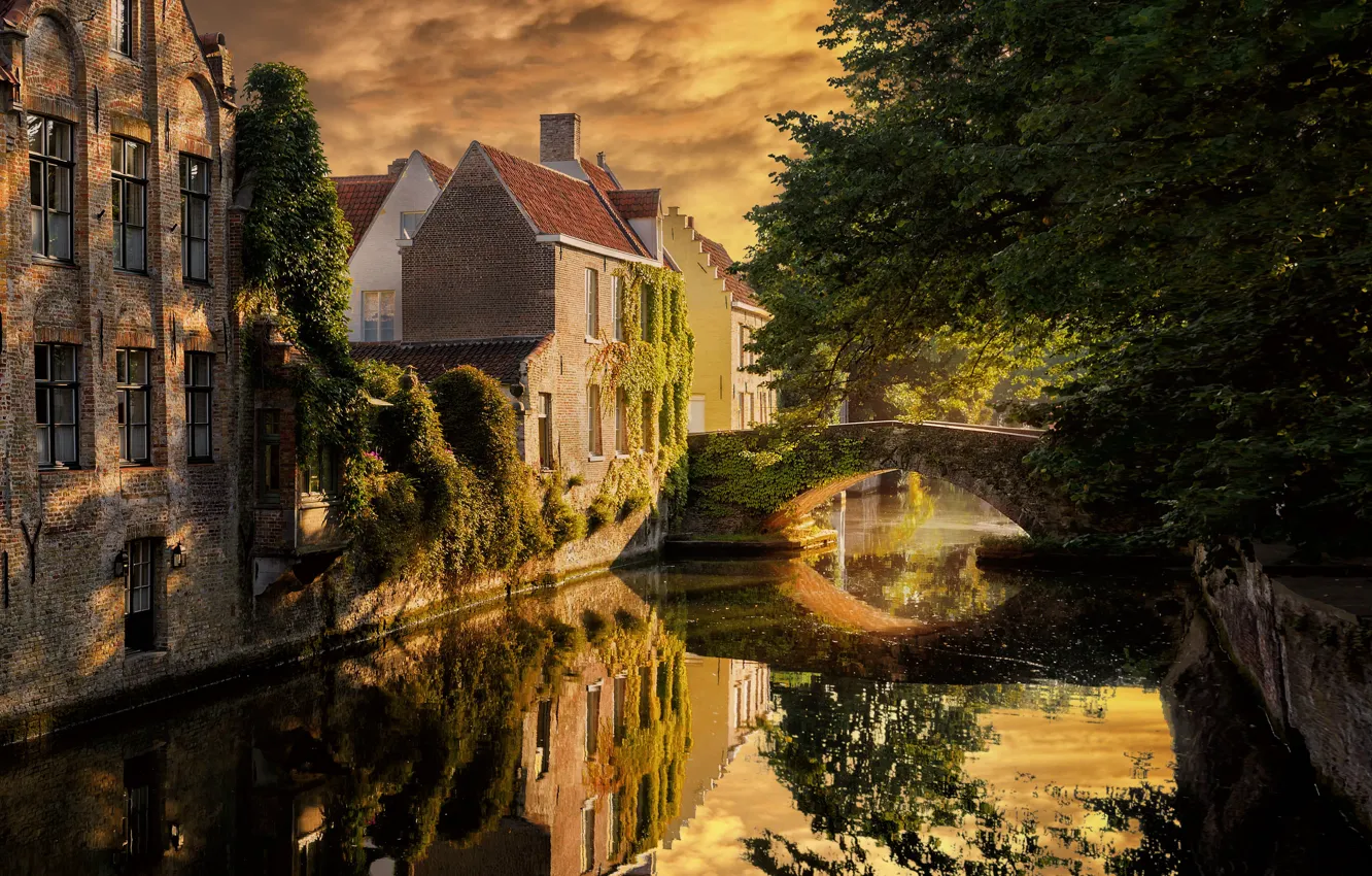 Photo wallpaper the city, river, thickets, home, Belgium, the bridge, Bruges