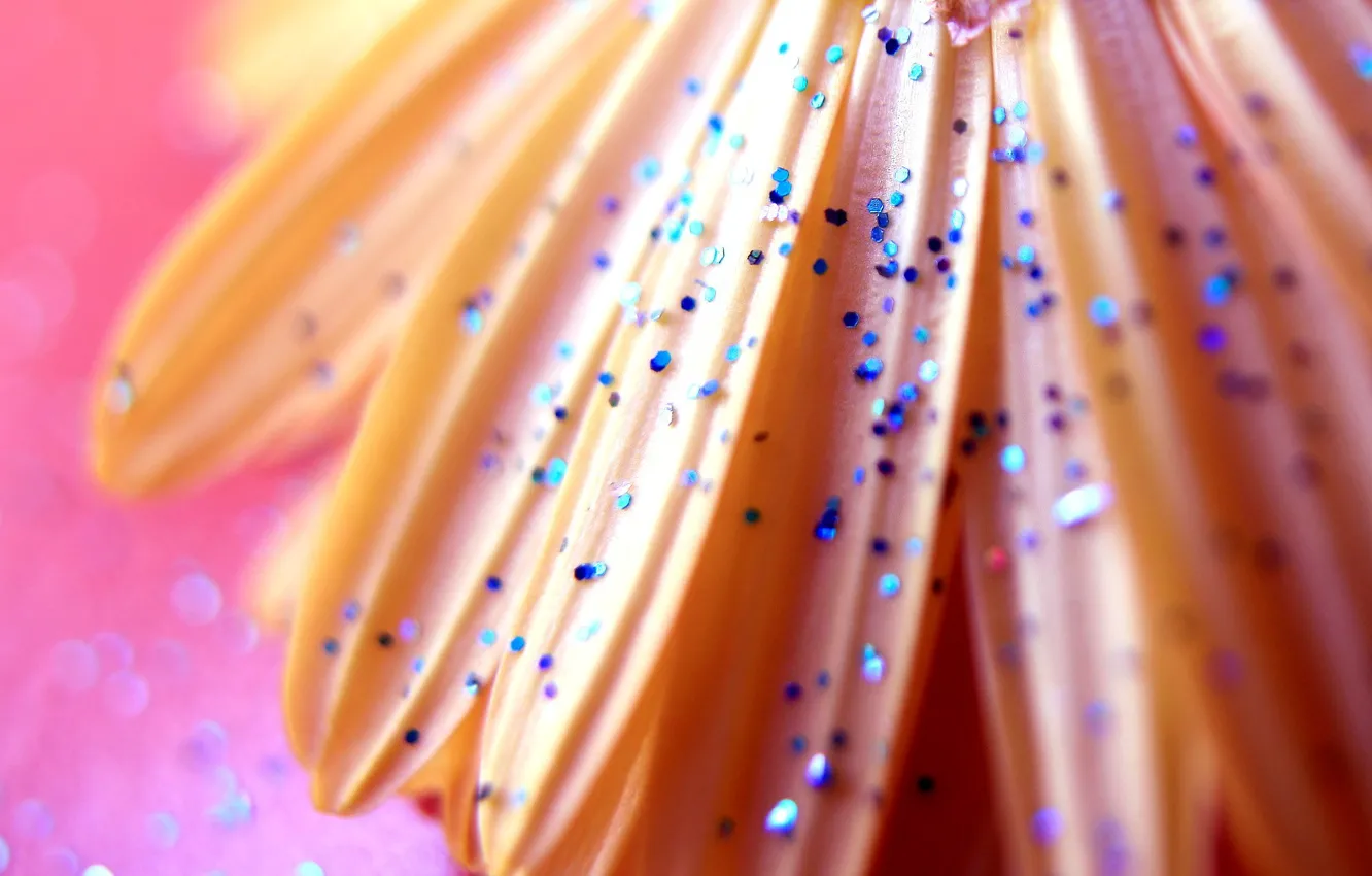 Photo wallpaper petals, sequins