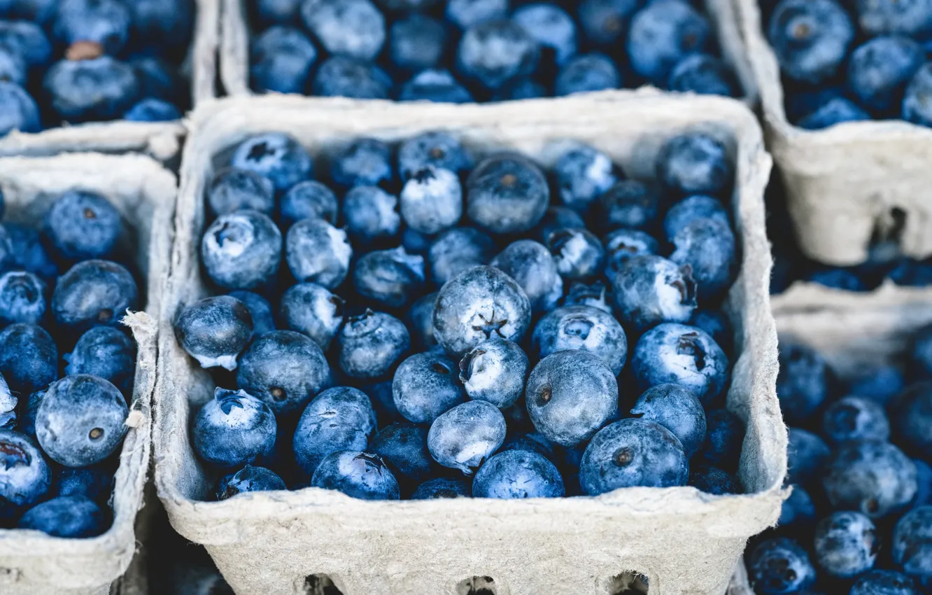 Photo wallpaper berries, food, blueberries, tray