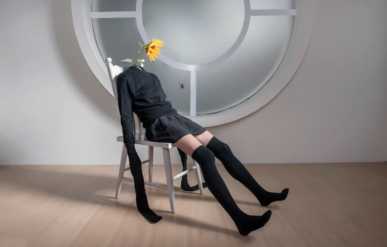 Photo wallpaper girl, sunflowers, spider, window, Golf