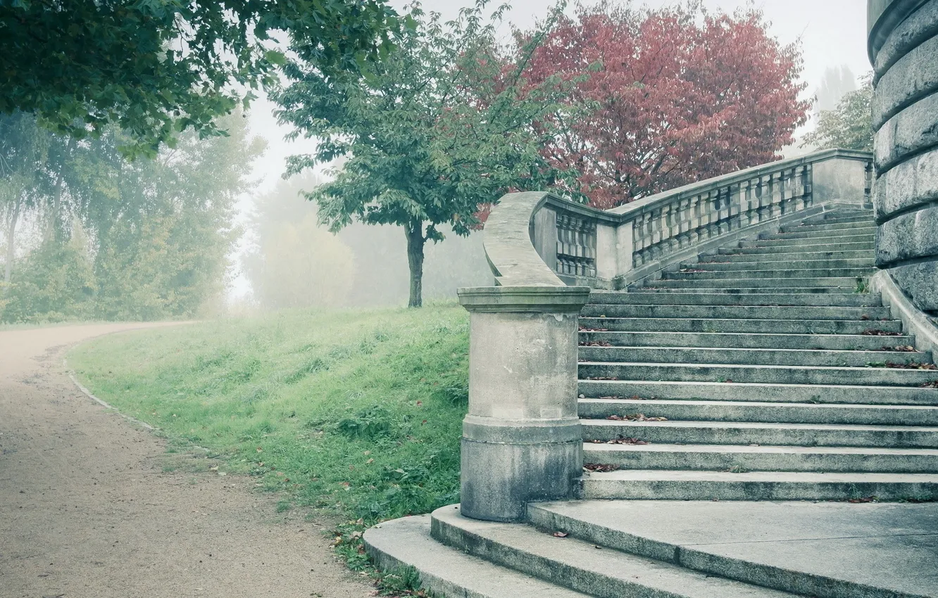 Photo wallpaper fog, castle, stairs, ladder, steps