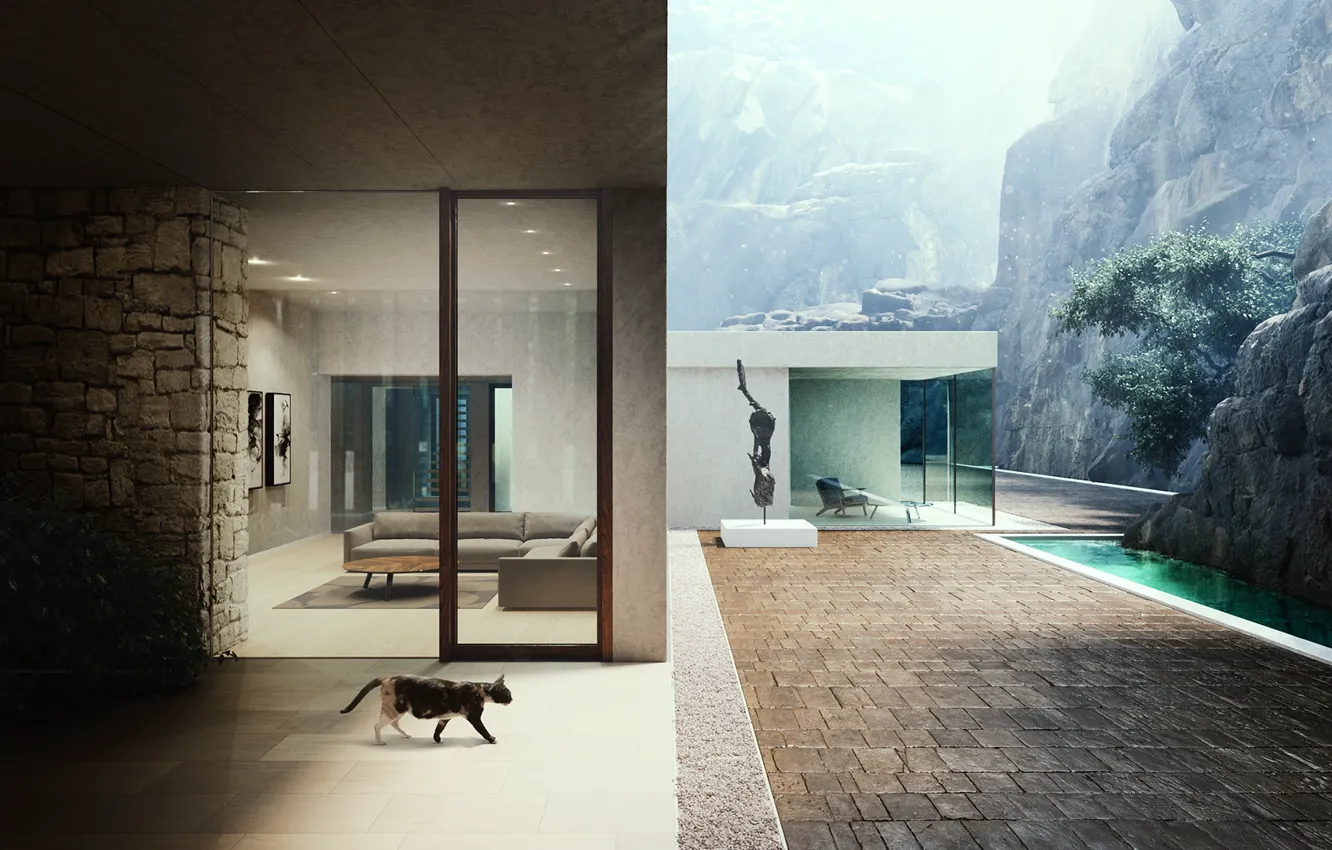Photo wallpaper cat, rocks, pavers, structure, pond