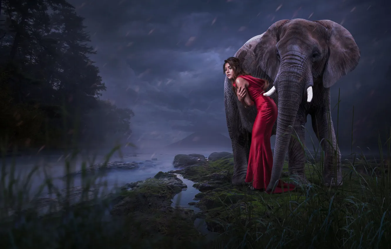 Photo wallpaper girl, each, rain, elephant