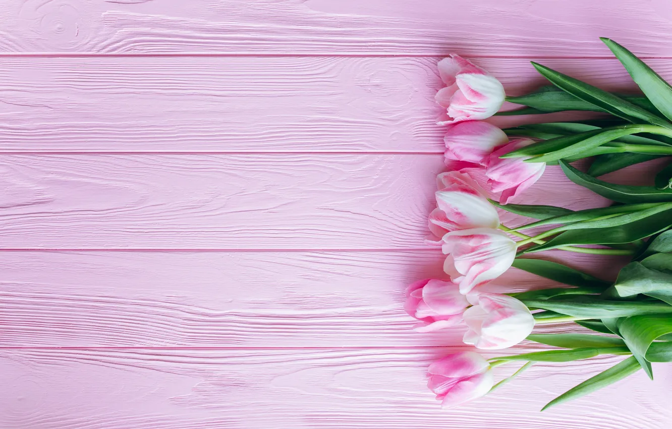 Photo wallpaper flowers, Tulips, pink, wooden background