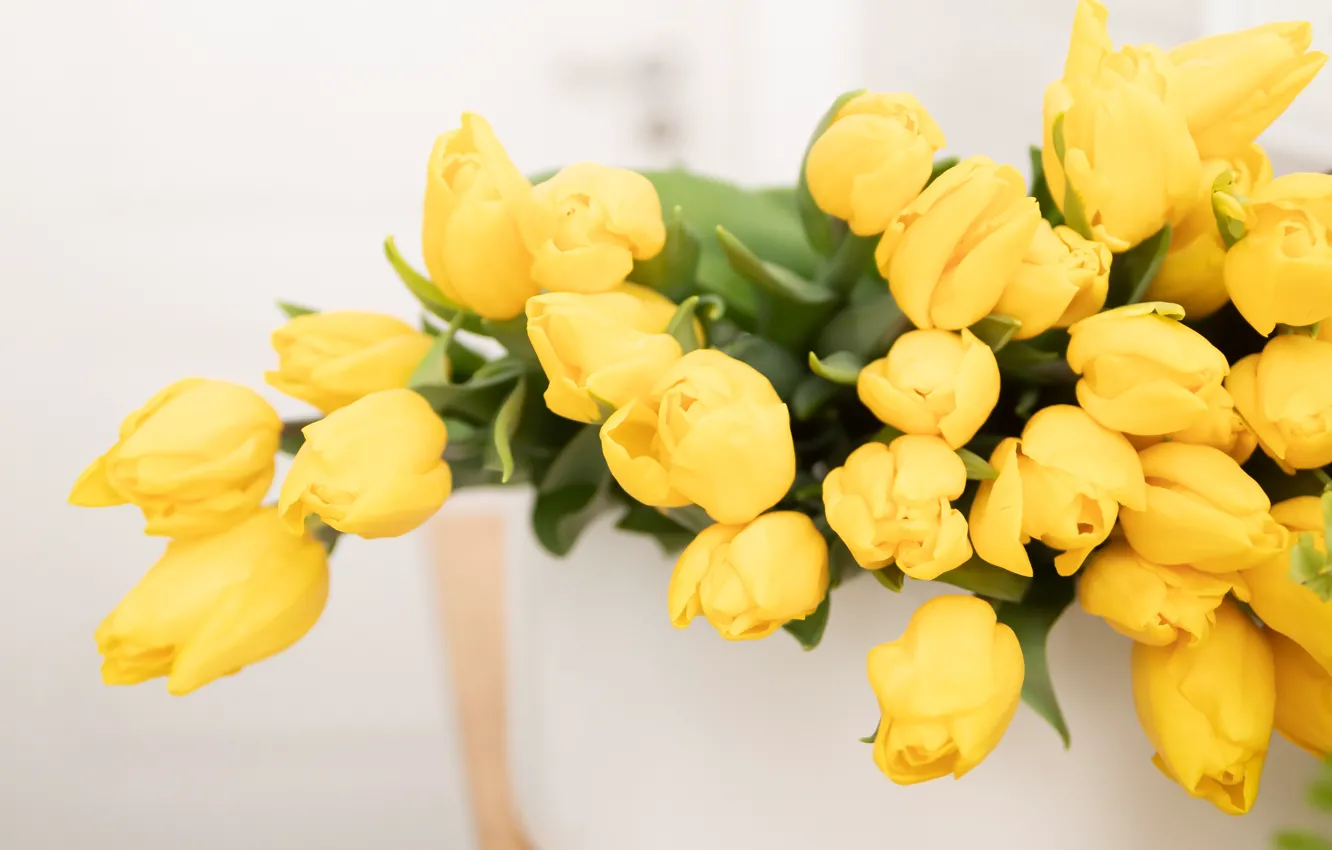 Photo wallpaper flowers, yellow, bouquet, spring, tulips, light background, bokeh