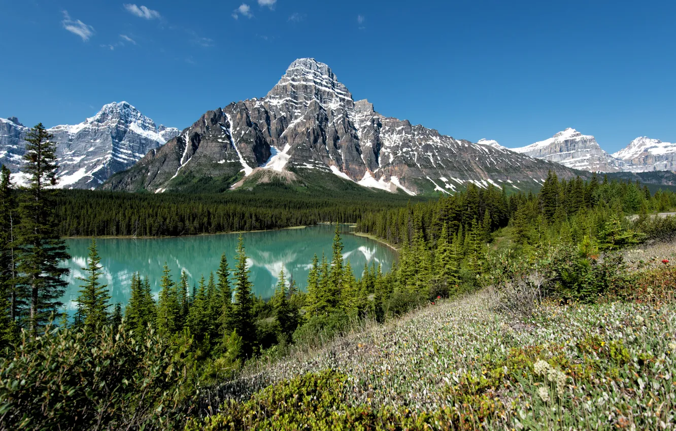 Photo wallpaper forest, trees, mountains, lake, Canada, Banff National Park, Banff