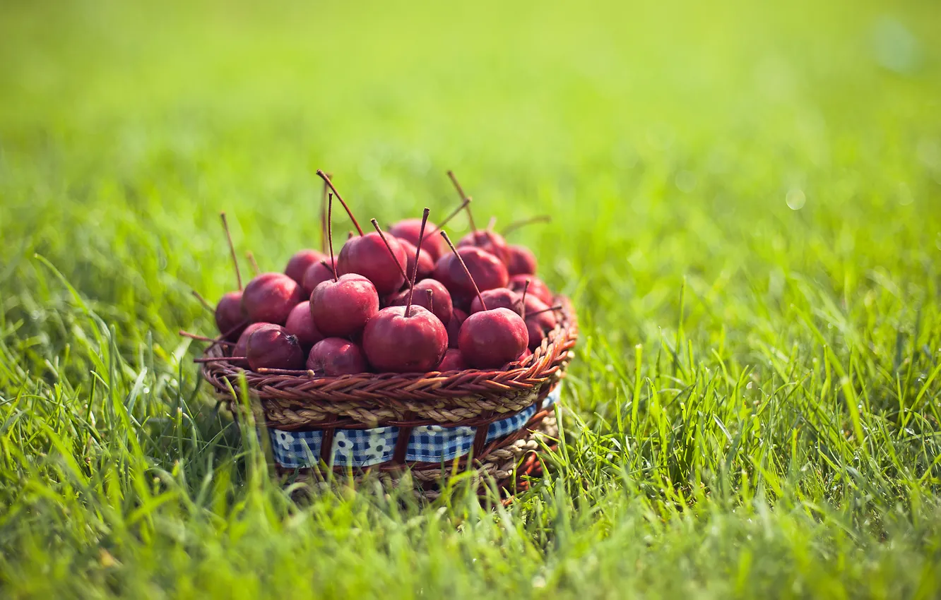 Photo wallpaper grass, food, fruit, basket, Ranetki