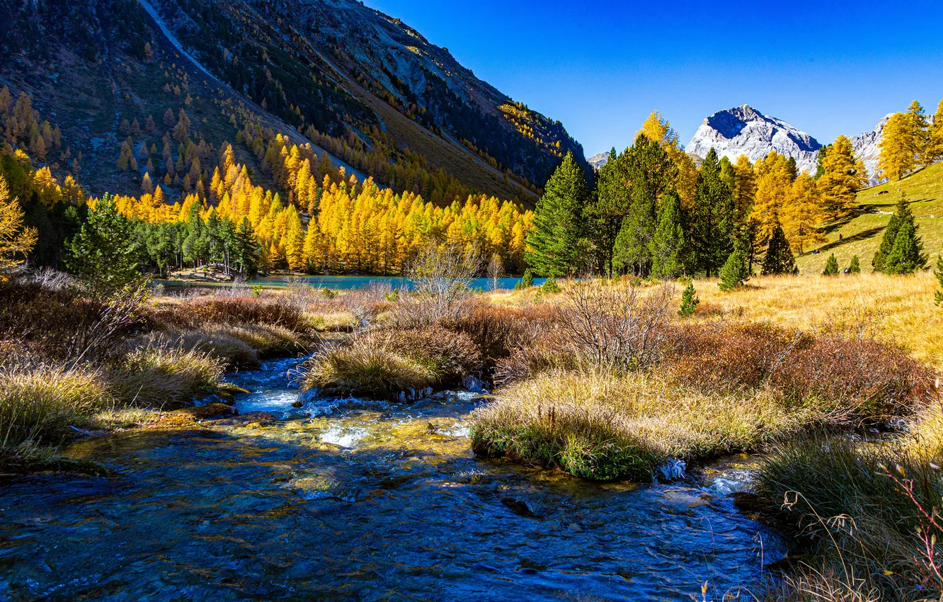 Photo wallpaper Mountains, Autumn, Switzerland, Alps, Landscape, River