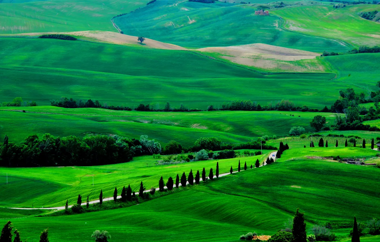 Photo wallpaper road, trees, field, Italy, Tuscany