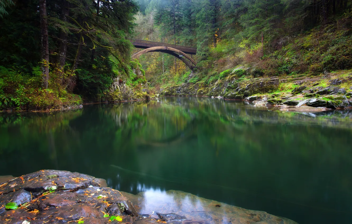 Photo wallpaper forest, bridge, river, Washington, Washington, river Lewis, Lewis River, Yacolt