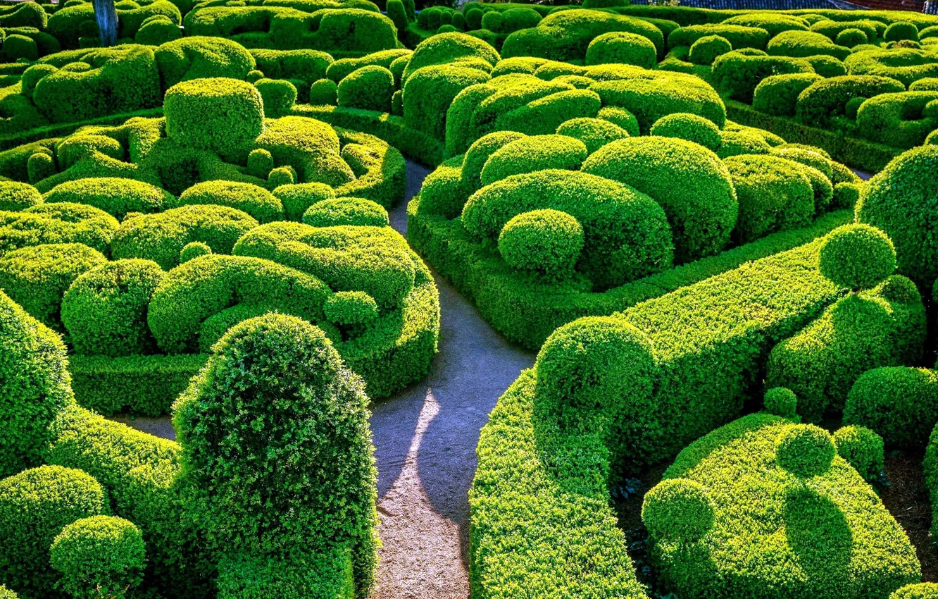 Photo wallpaper Park, maze, the bushes