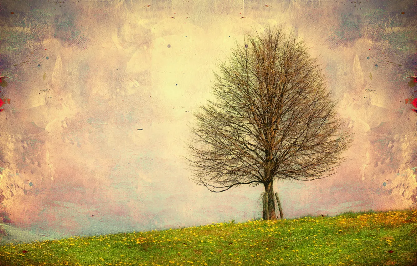 Photo wallpaper landscape, nature, style, background, tree